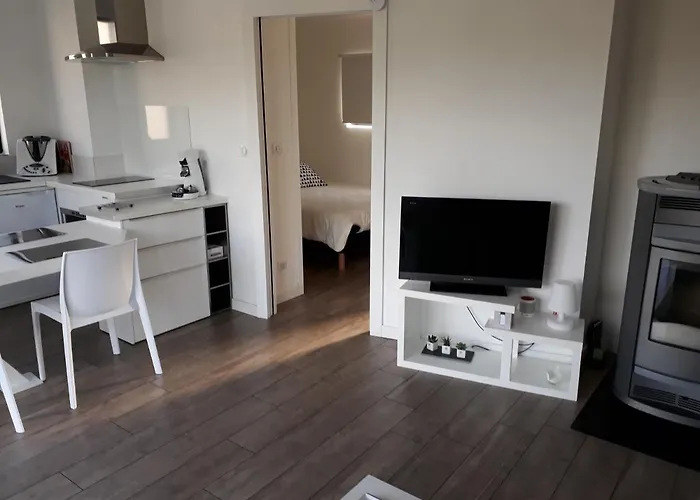 דירה Lumineux & Chaleureux A Flavin. *